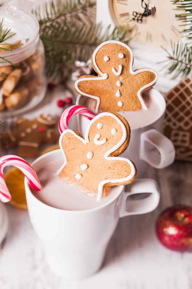 Discover a Sweet Holiday Season with 10 Low-Carb Desserts. Indulge in Delicious Festive Treats While Staying Carb-Conscious. From Keto Fudge to Gingerbread Zucchini Bread, Explore Guilt-Free Desserts for Your Low-Carb Lifestyle. Don't Miss Out on Holiday Flavors!